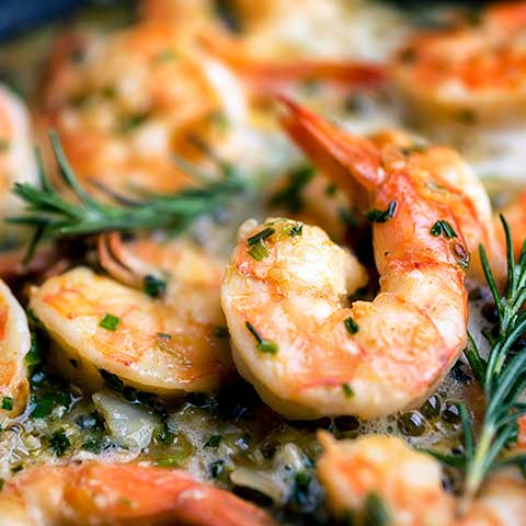 r2i3-shrimp